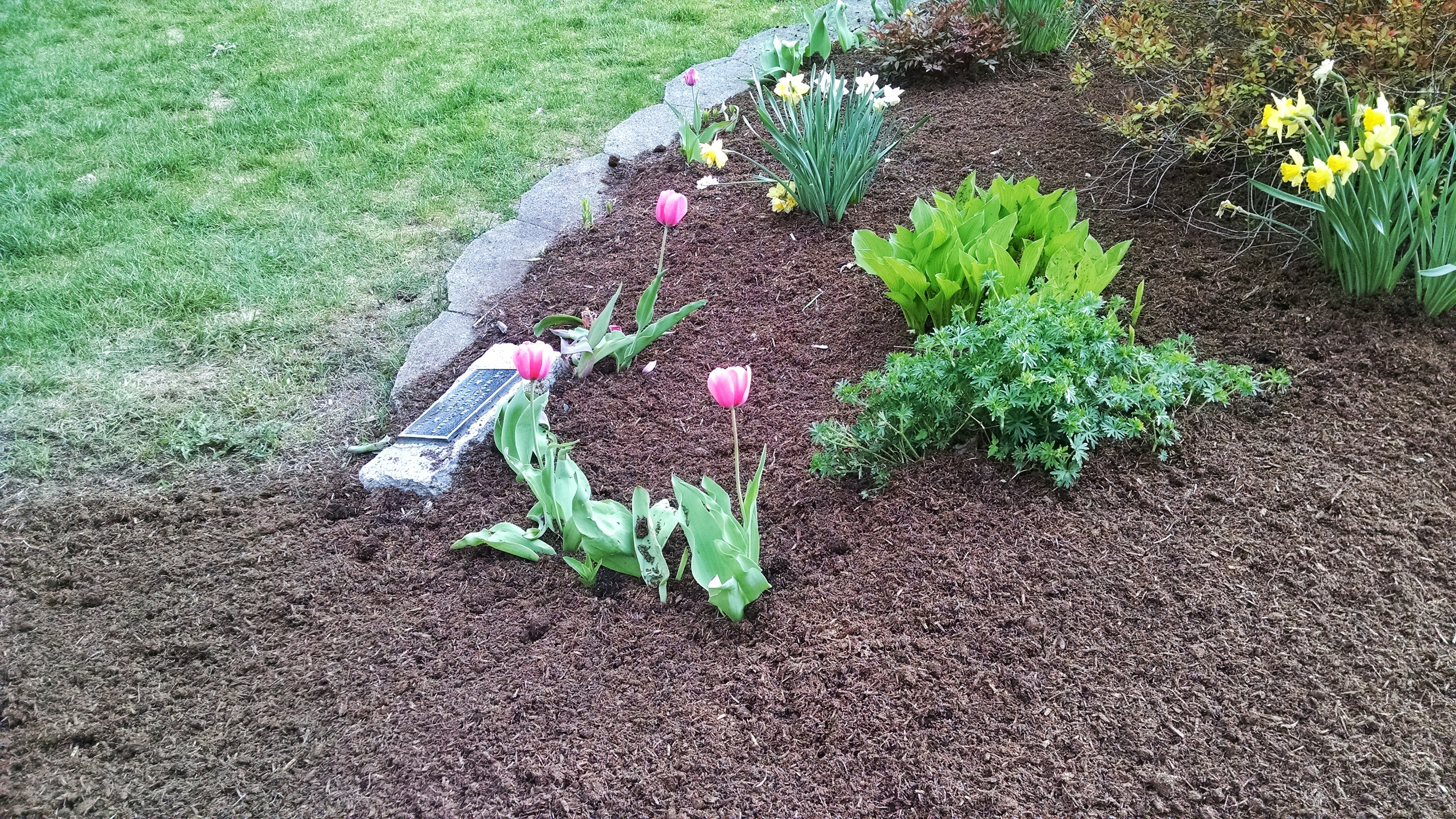 flowersmulchspring83406 Gardening ABC