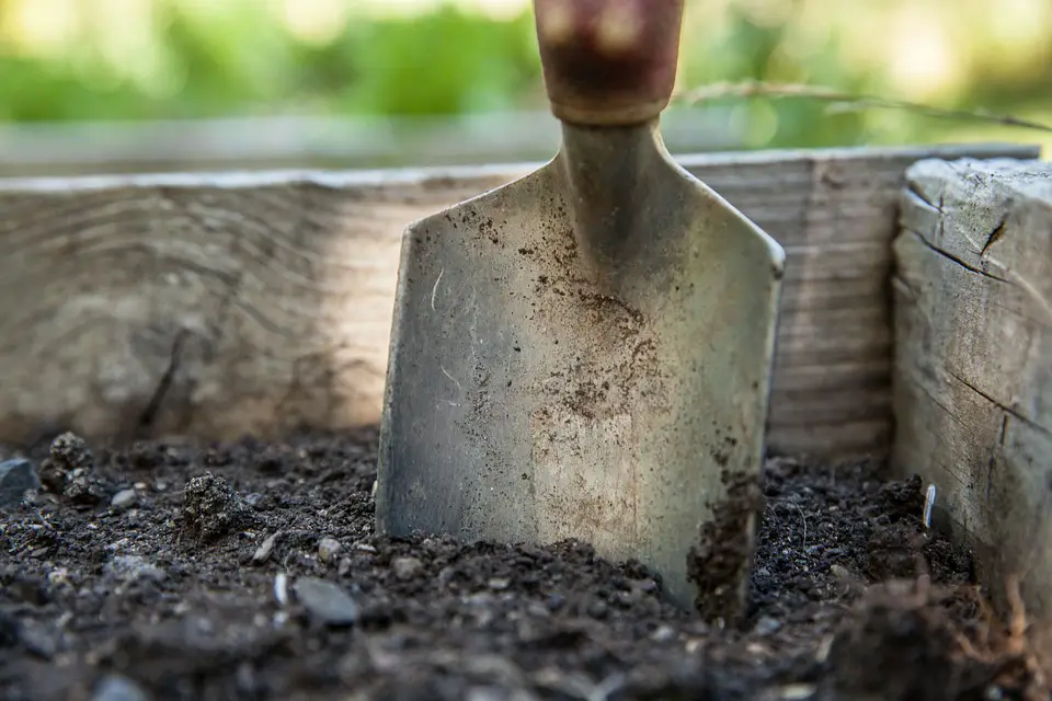 garden weed control