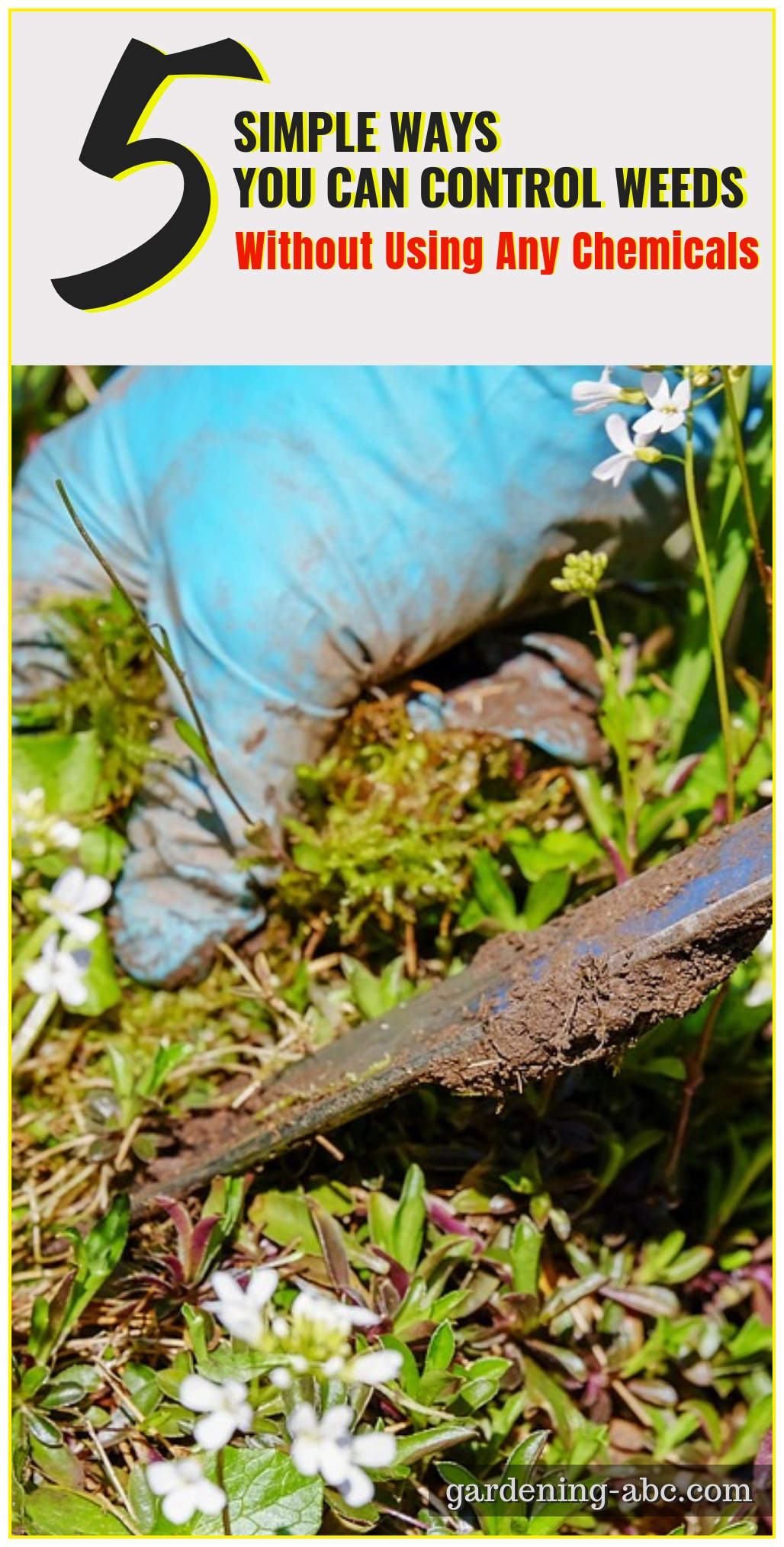 organic weed control Gardening ABC