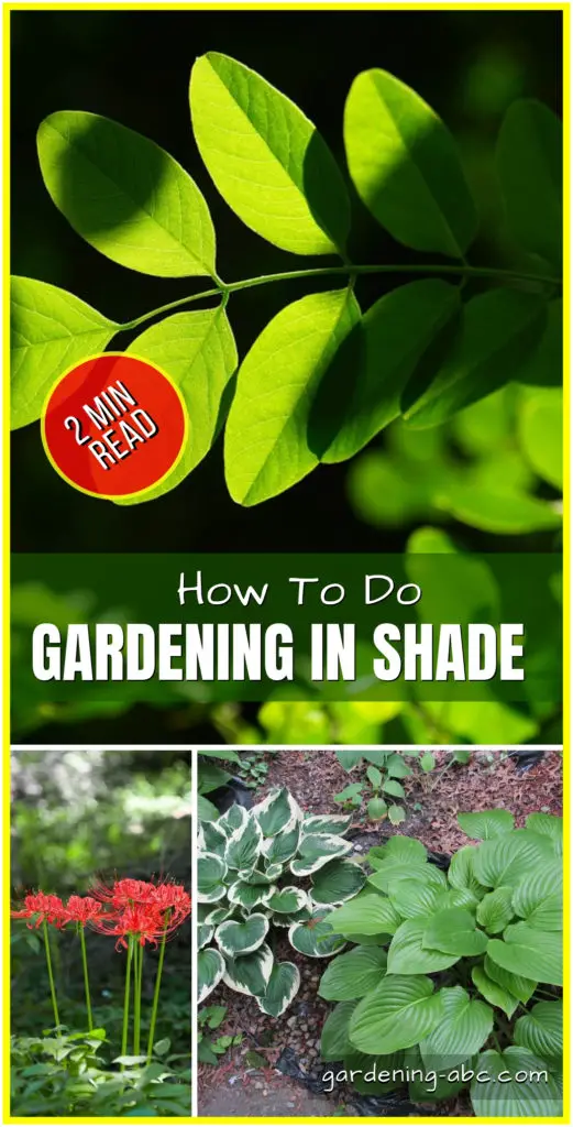 shade gardening