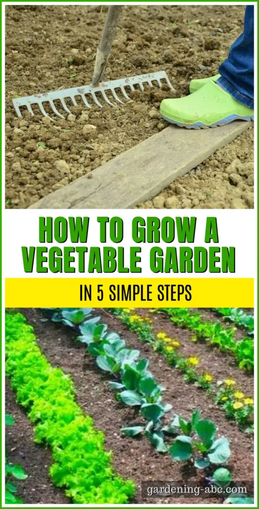 how to grow a vegetable garden