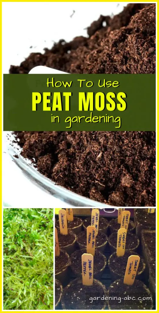 how to use peat moss in garden