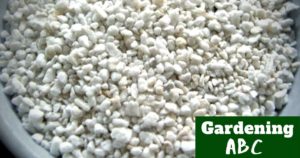 what is perlite