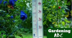 temperature and gardening