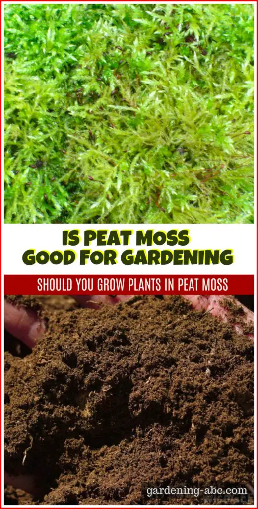 is peat moss good for gardening