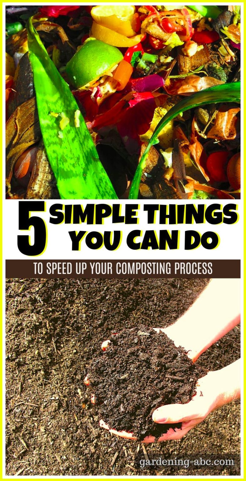 how-to-speed-up-composting-here-are-5-tips-to-faster-decomposition