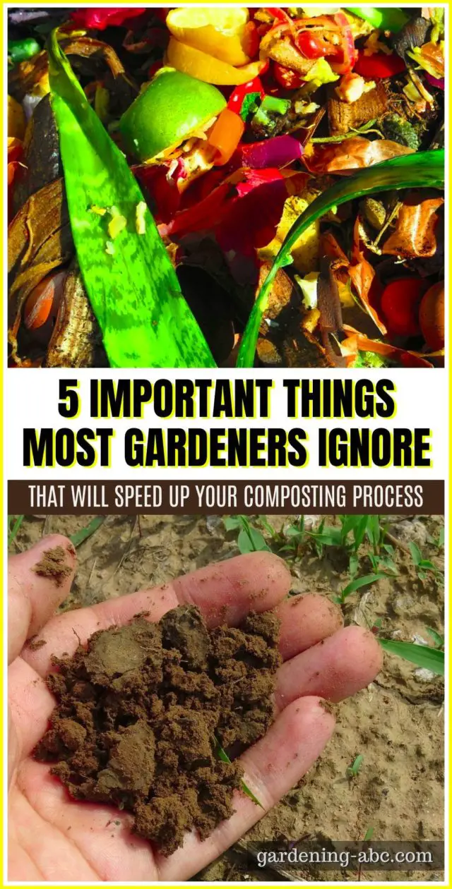 How To Speed Up Composting Here Are 5 Tips To Faster