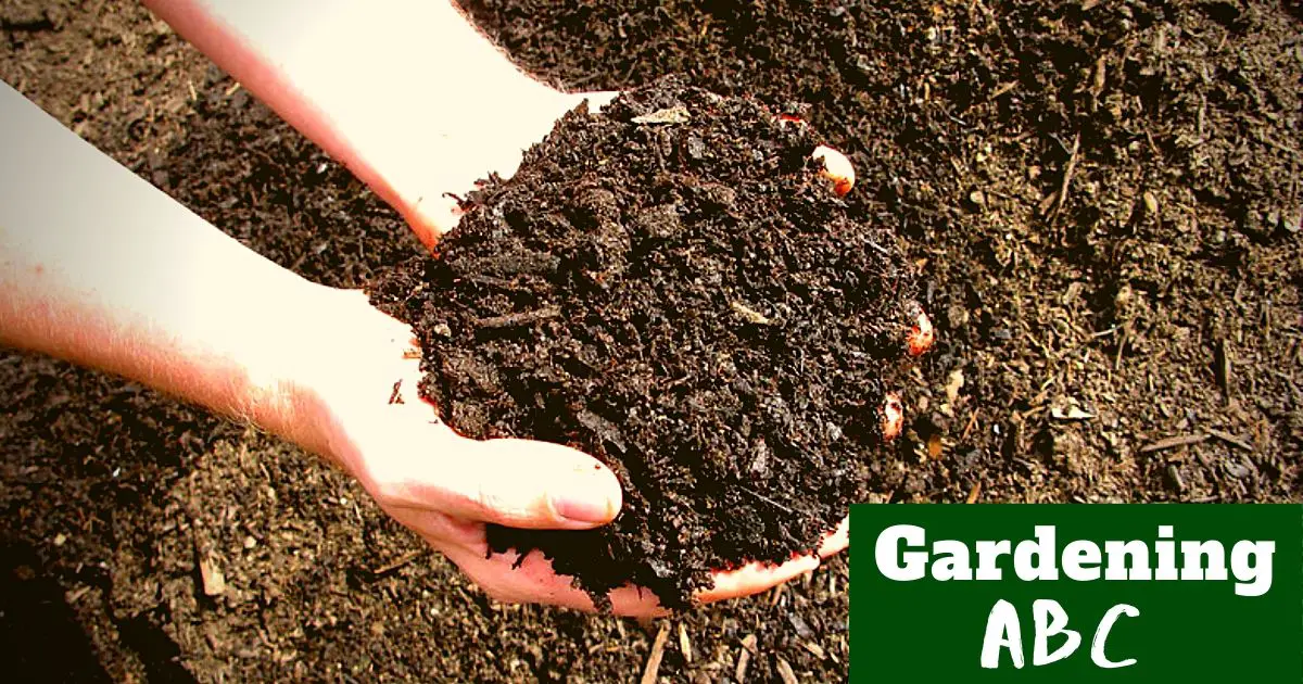 How to Speed up Composting Here are 5 Tips to Faster