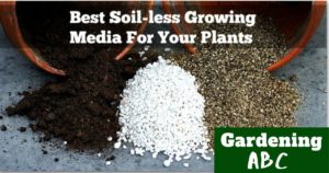 soilless mediums