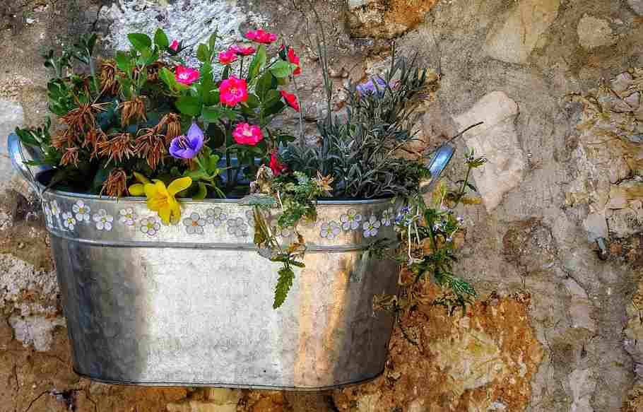 metal planters for growing plants