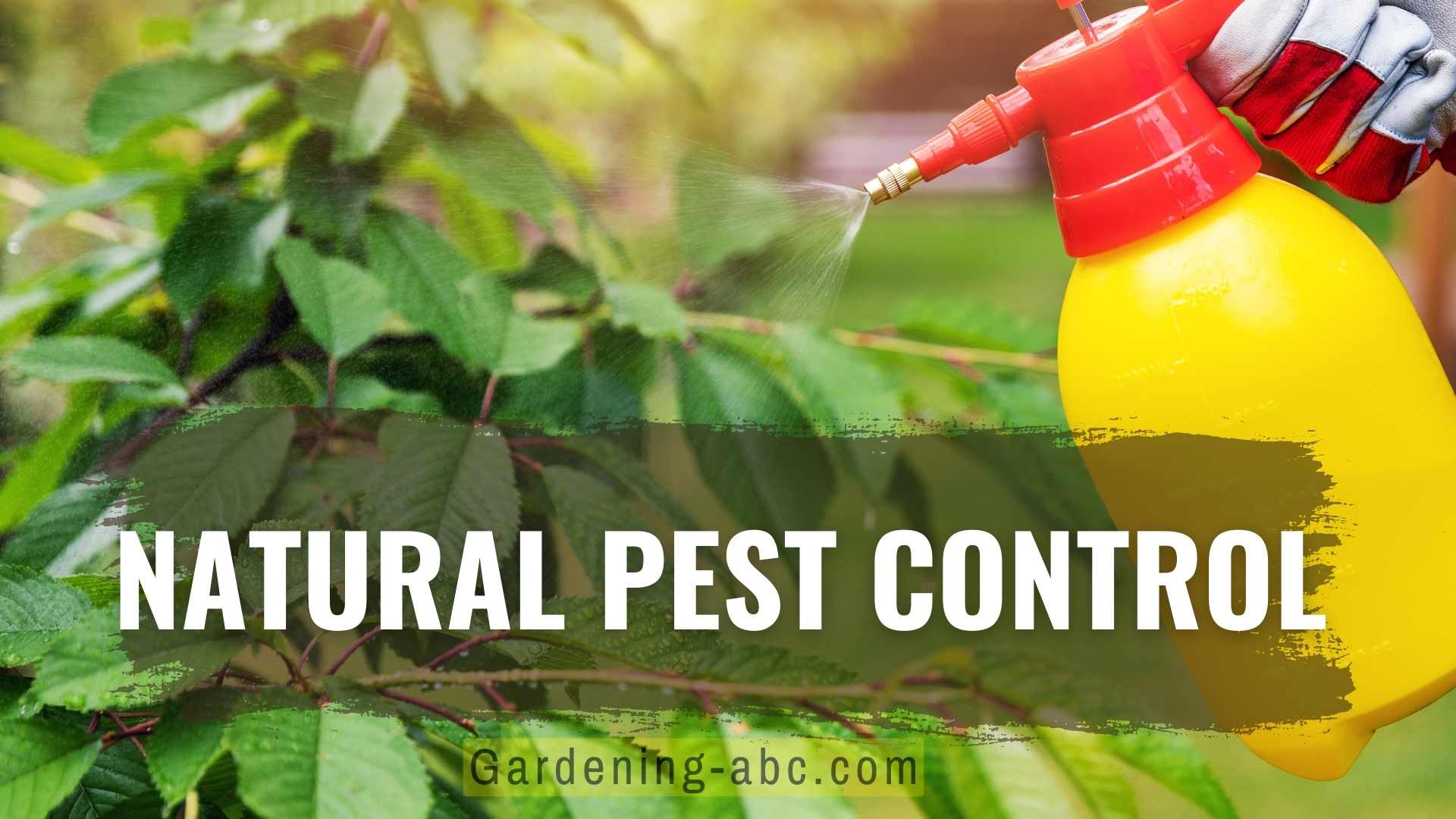 natural pest control