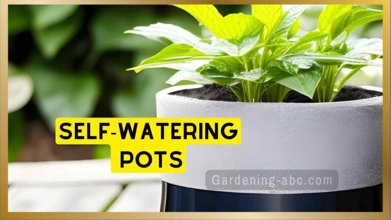 Self-Watering Pots: Know These 8 Things Before You Start Using Them