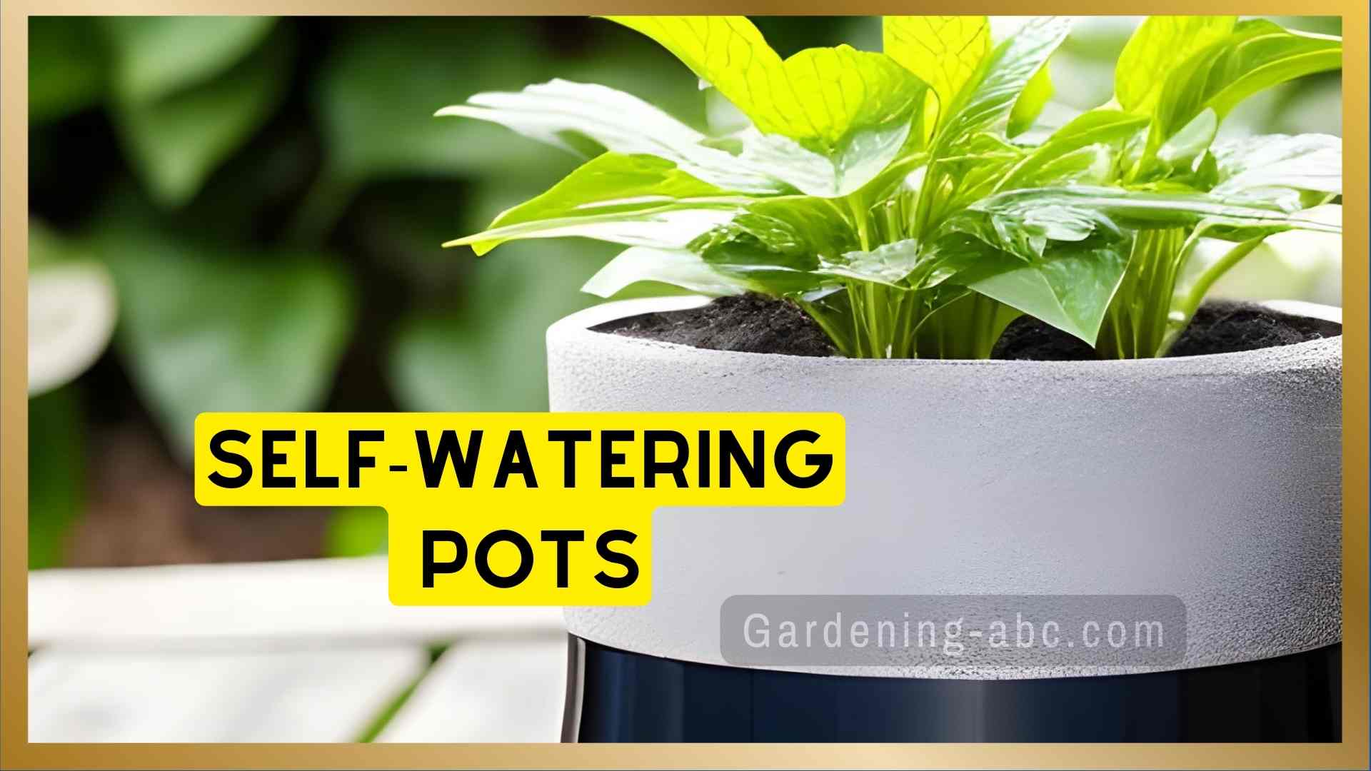 self watering pots for indoor gardening
