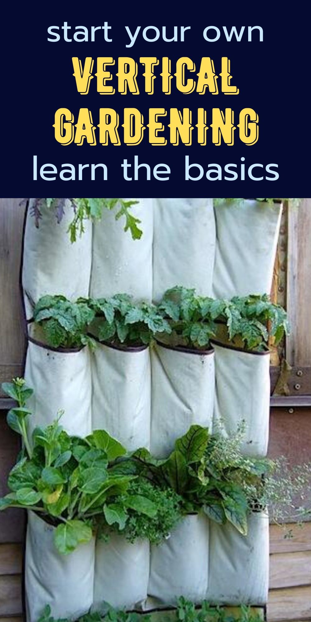 whatisverticalgardening2 Gardening ABC