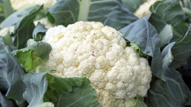 Growing Cauliflower Plants: How to Grow Cauliflower At Home