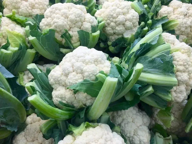 harvestingcauliflower Gardening ABC