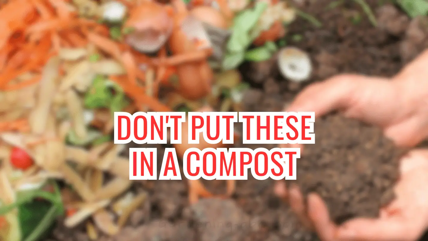 what not to compost