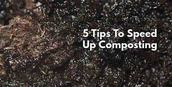How to Speed up Composting: Here are 5 Tips to Faster Decomposition