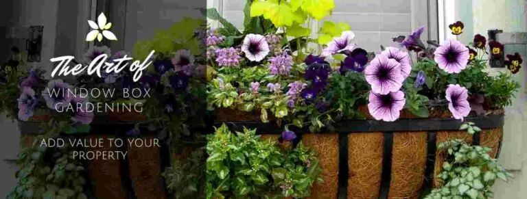 How to Make A Window Box Planter From Ordinary to Extraordinary
