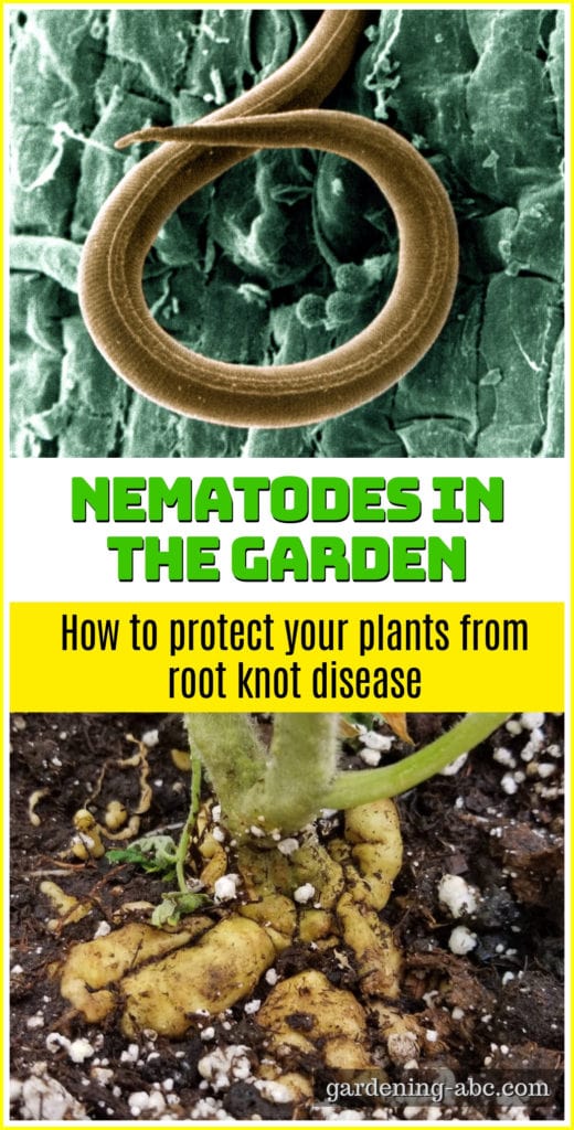 how to control nematodes