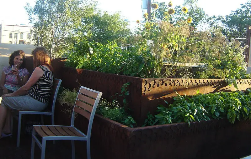 making a rooftop garden