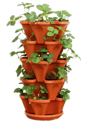 vertical strawberry planter