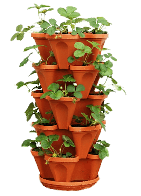 vertical strawberry planter