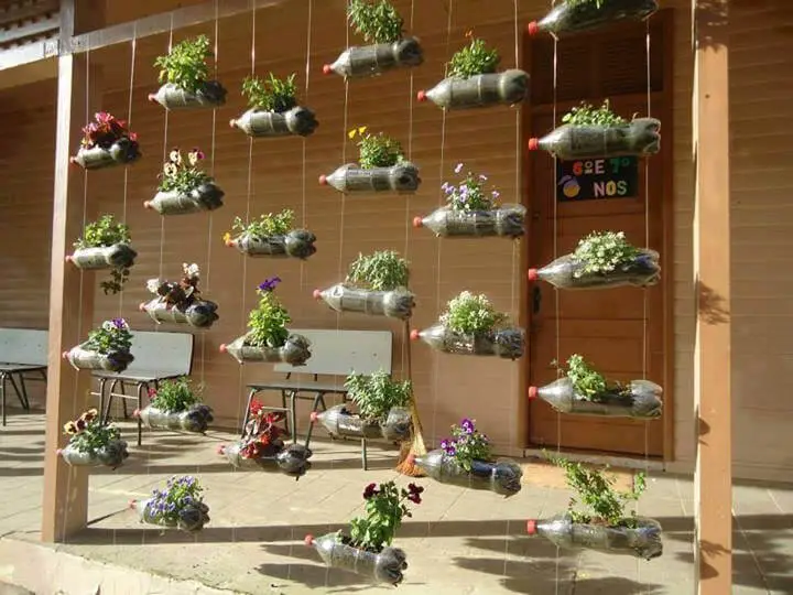 growing in vertical gardens