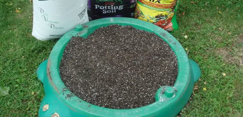 can you grow plant in peat moss