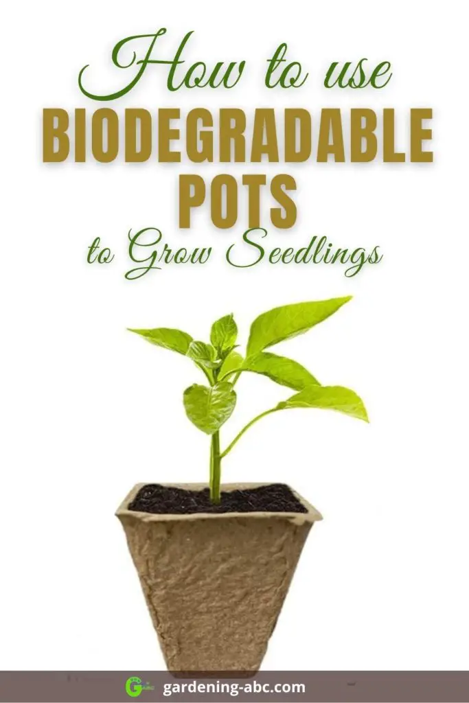 how to use biodegradable pots