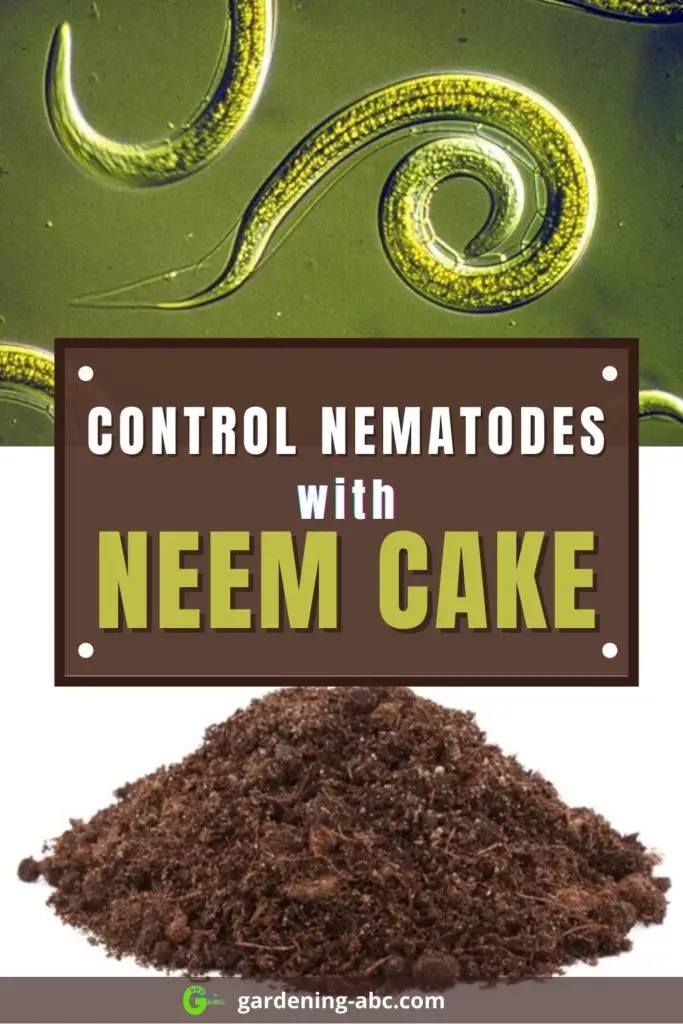 nematode control with neem cake