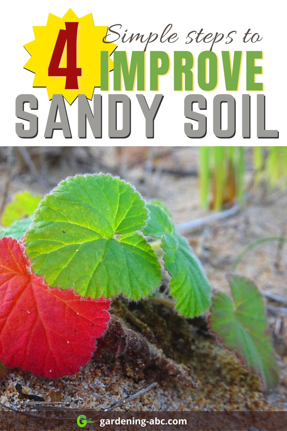 How To Improve Sandy Soil: Here Are 4 Simple Steps