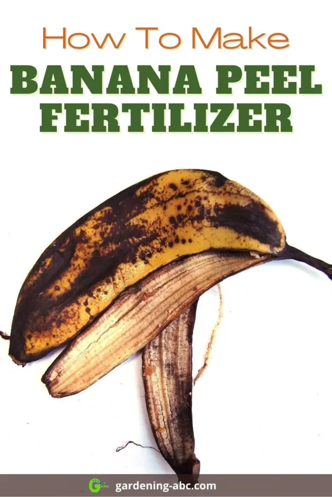  banana peels fertlizer