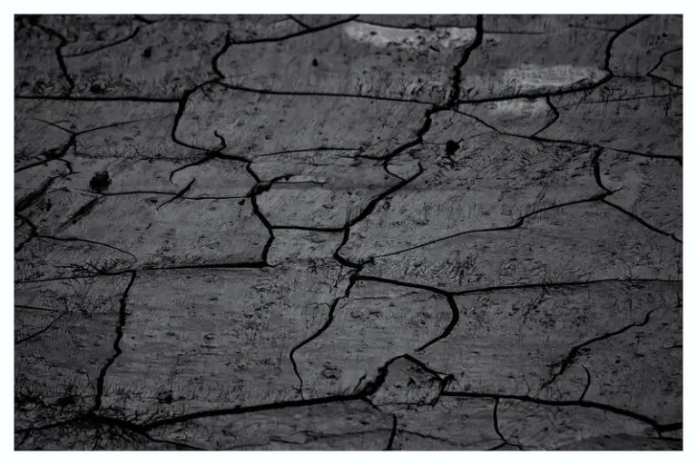 Pros and Cons of Clay Soil. Is Clay Soil Good For Your Plants.