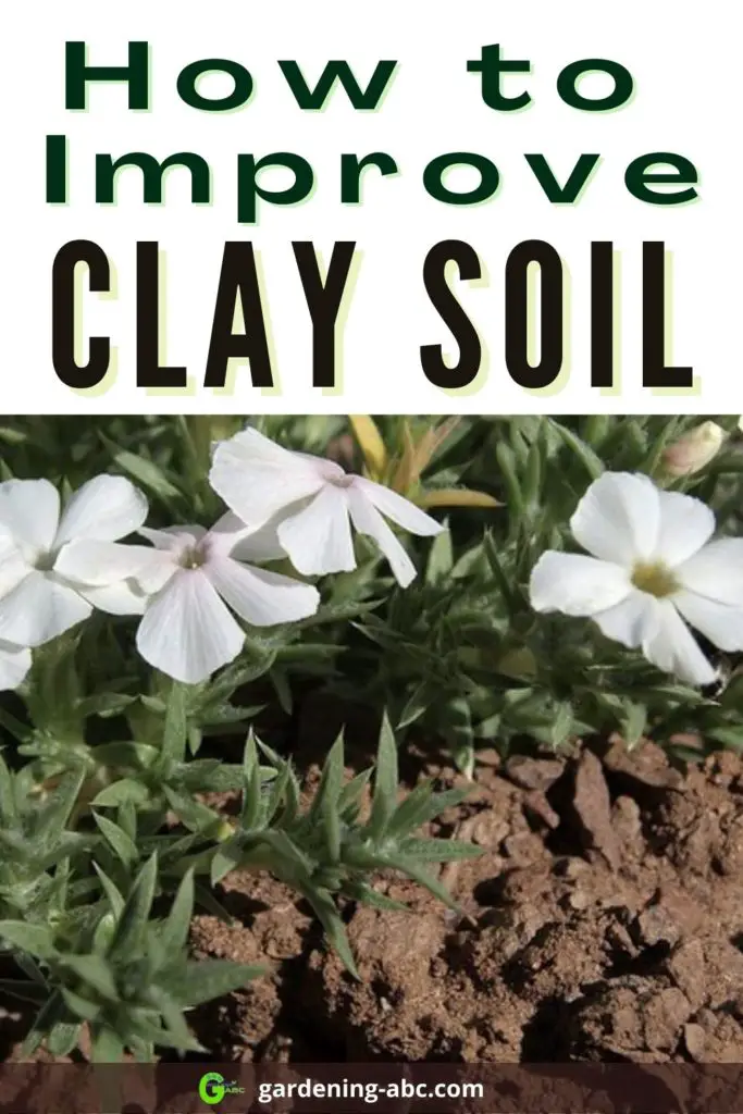 clay soil improvement