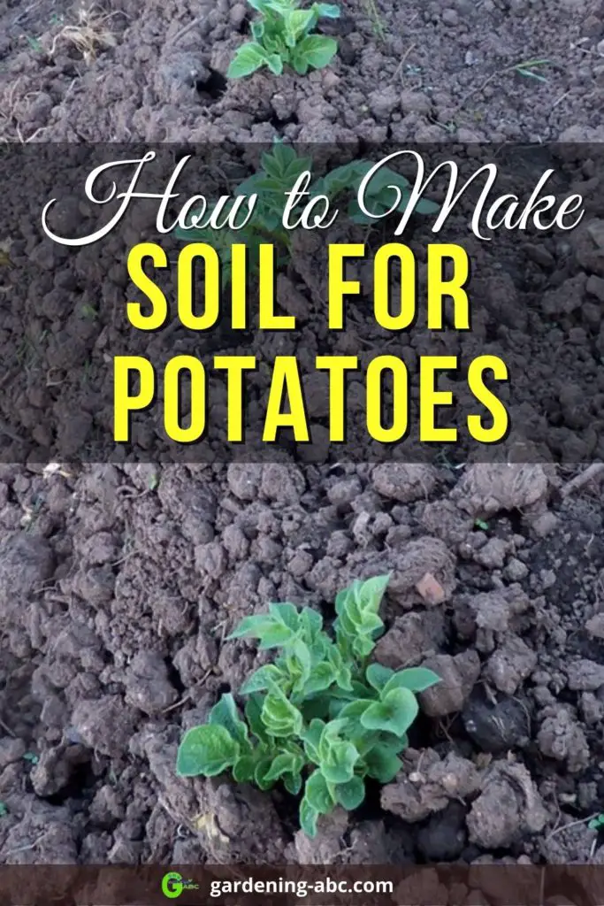 potato growing soil preparation