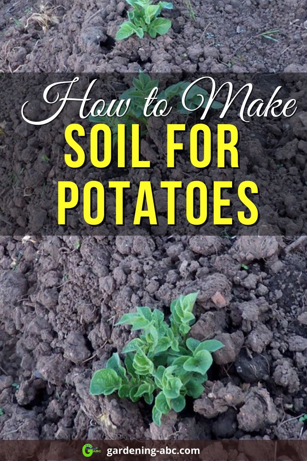 how-to-prepare-the-best-soil-for-potatoes-a-simple-step-by-step-guide