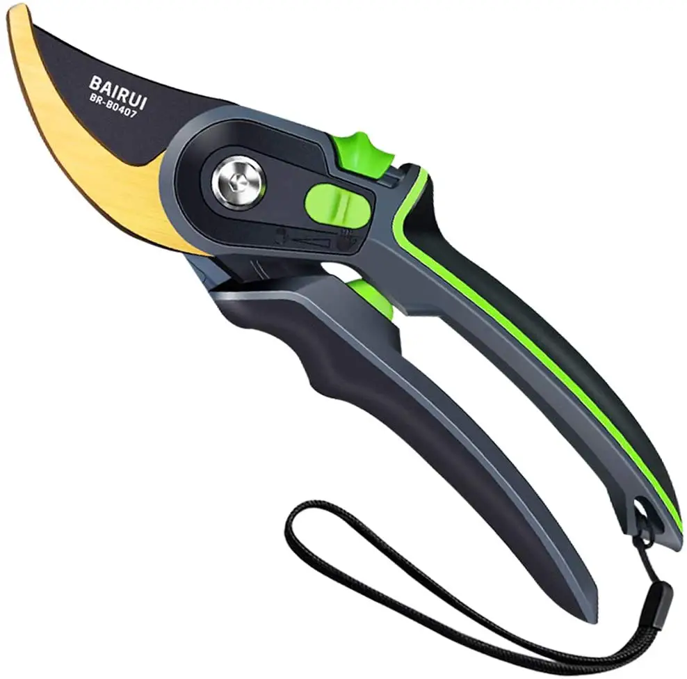 Bypass Pruners Vs Anvil Pruners Vs Ratchet Pruners: Which One Is Best ...