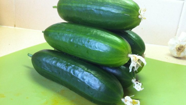 Why My Cucumbers Taste Bitter: How To Grow Sweet Tasting Cucumbers