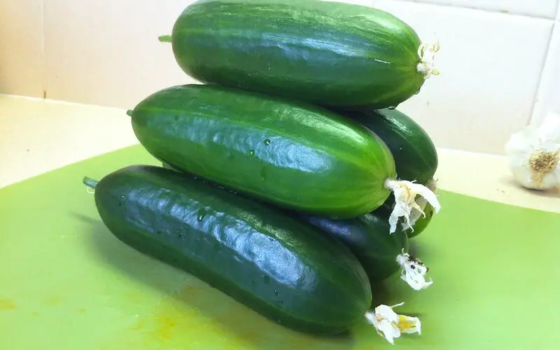 bitterness in cucumbers