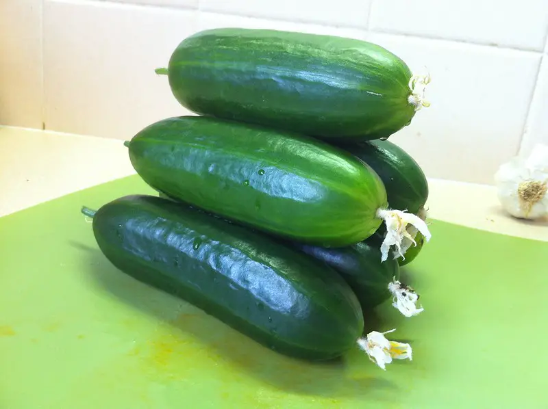 bitterness in cucumbers
