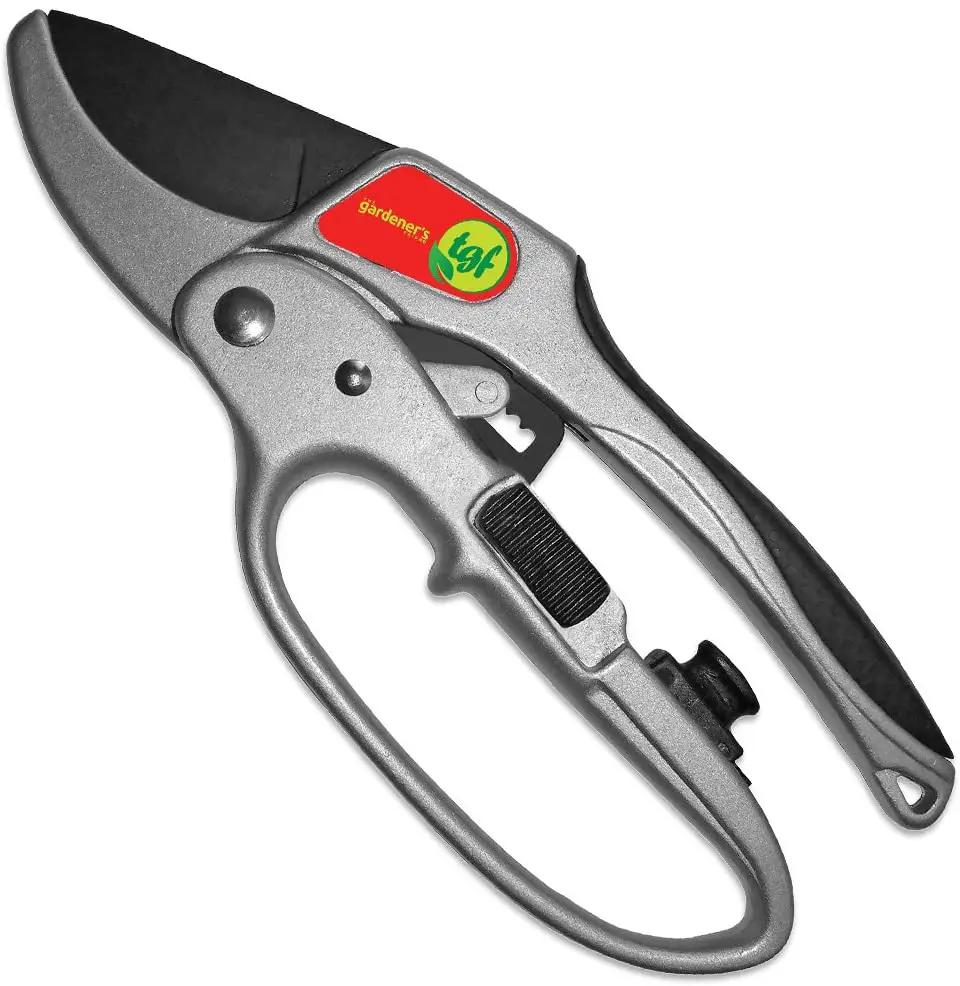 Bypass Pruners Vs Anvil Pruners Vs Ratchet Pruners Which One Is Best