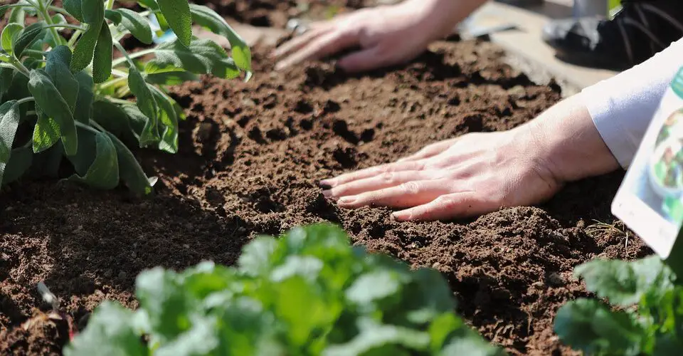 how to increase soil acidity