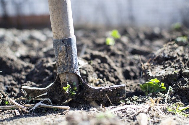 soil for organic garden