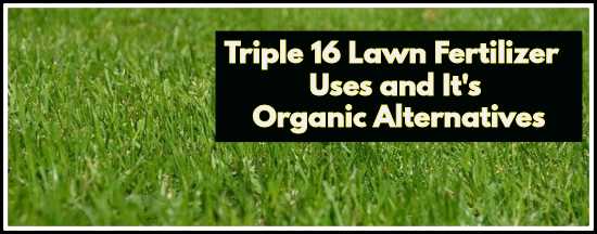 Triple 16 Fertilizer: It’s Use and 3 Best Organic Alternatives