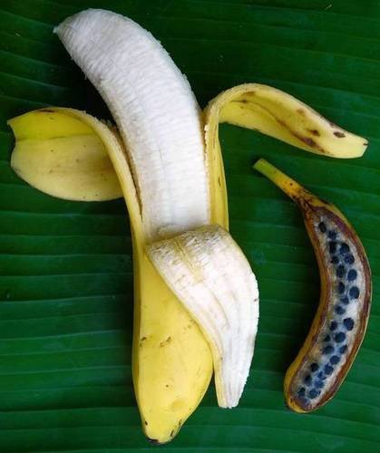 banana with seed