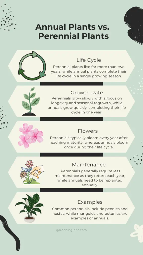 annual vs perennials