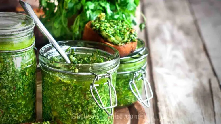 How to Store Cilantro So It Remains Fresh For Longer