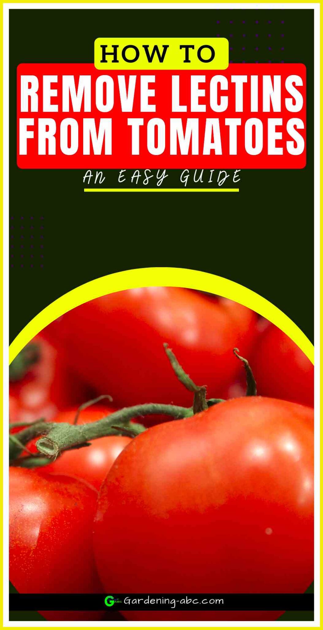 A Really Easy Way To Remove Lectins From Tomatoes