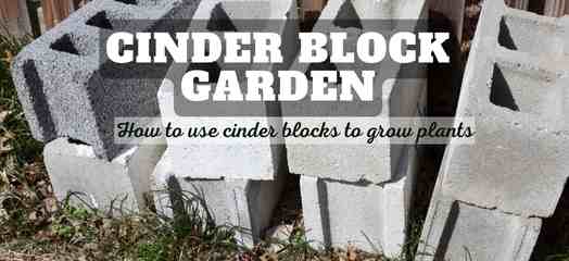 cinder block garden